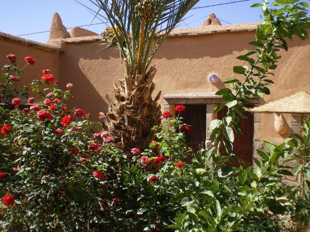 Maison D' hôtes Ait Hmid Nkob Exterior foto