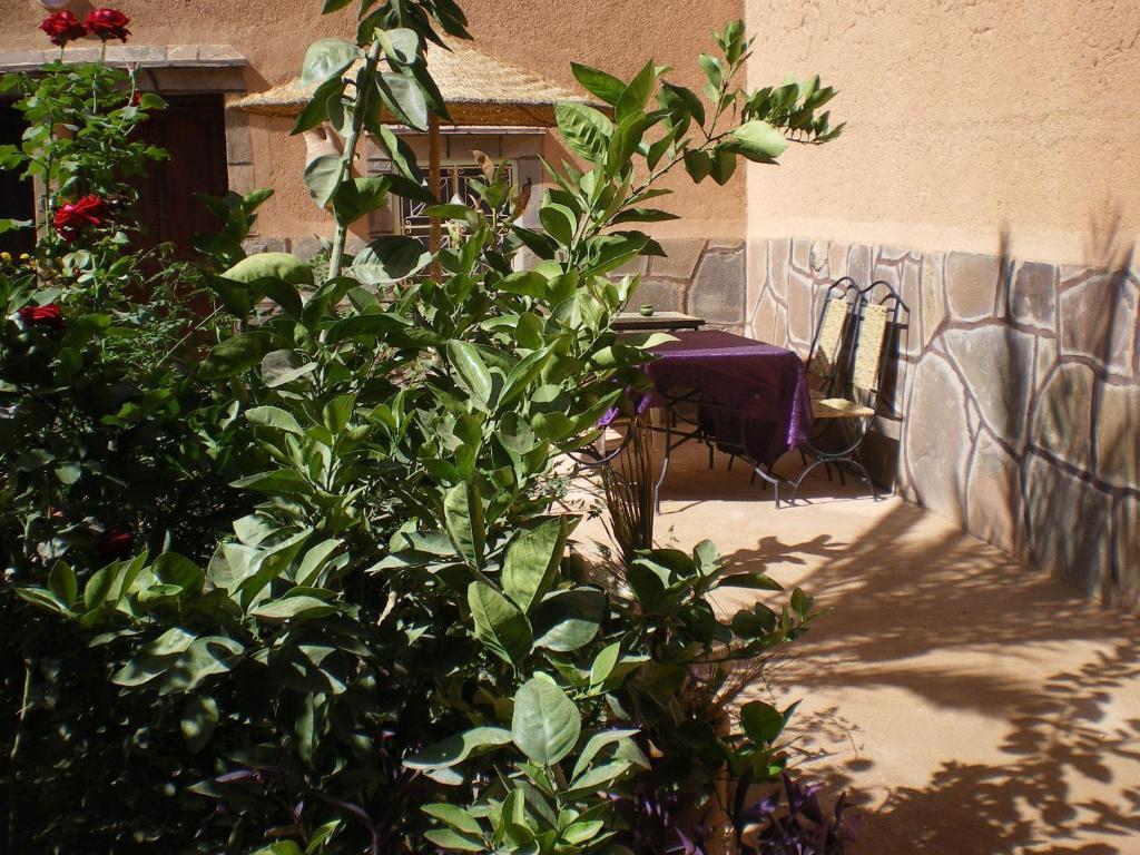 Maison D' hôtes Ait Hmid Nkob Exterior foto